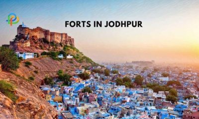 Forts In Jodhpur A Window into Rajasthan's Glorious Past!