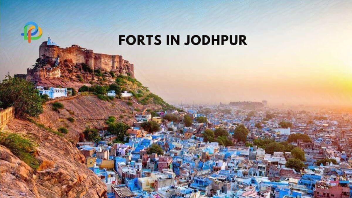 Forts In Jodhpur A Window into Rajasthan's Glorious Past!