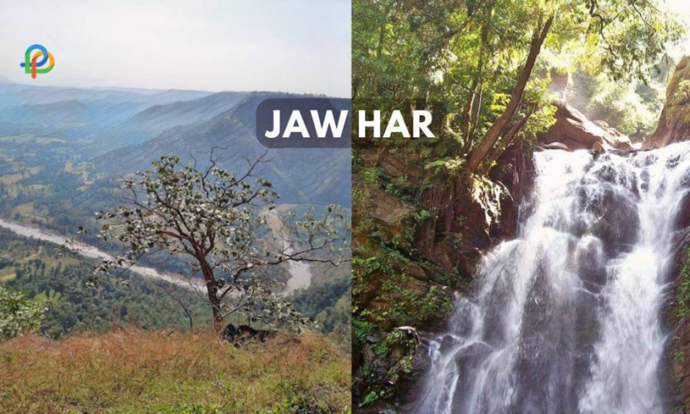 Jawhar Uncovering The Serene Charm of Maharashtra!