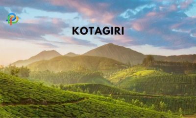 Kotagiri Discover A Small Hill Station In Tamil Nadu!