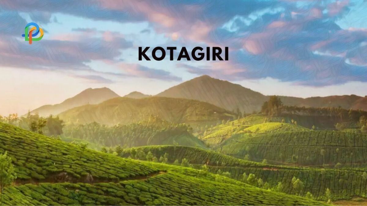 Kotagiri Discover A Small Hill Station In Tamil Nadu!