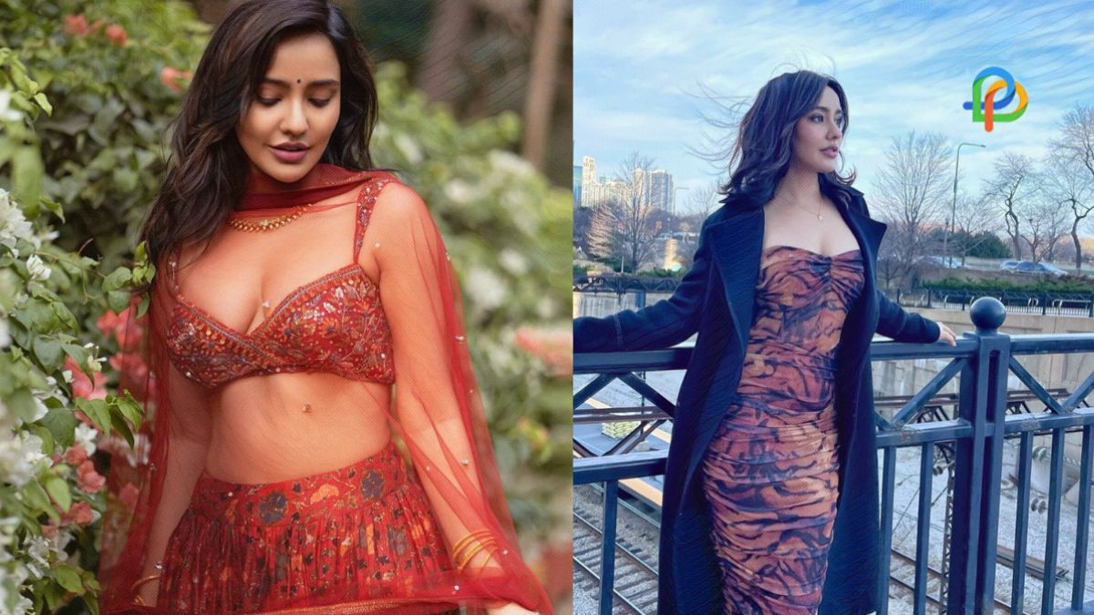 Neha Sharma Know More About The Bollywood Fame!