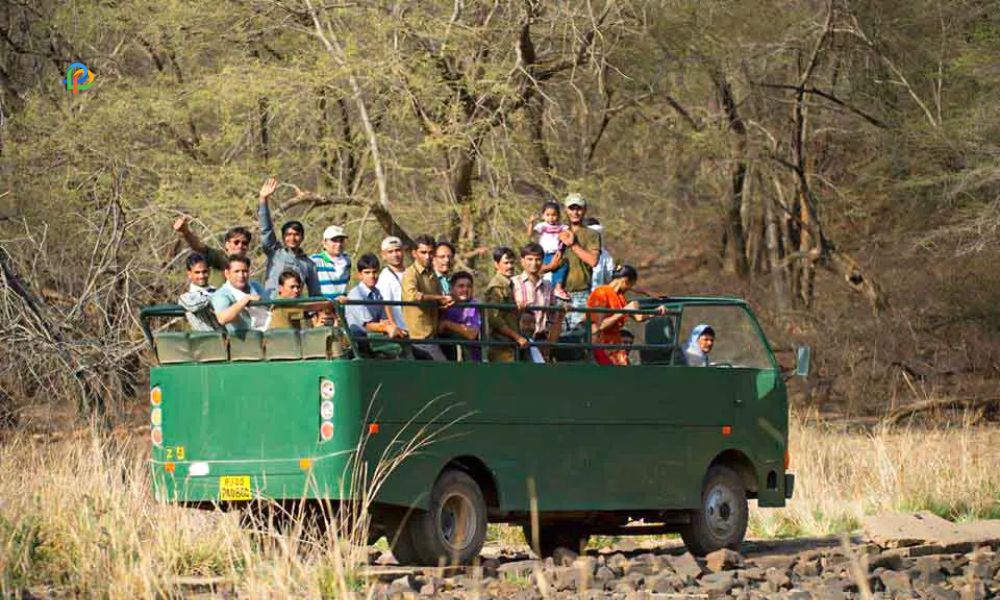 Ranthambore National Park Canter Safari 