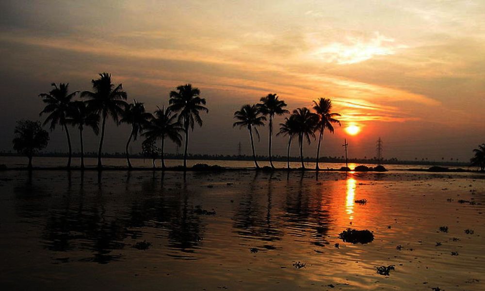 Sunrise from the Ashtamudi Lake 