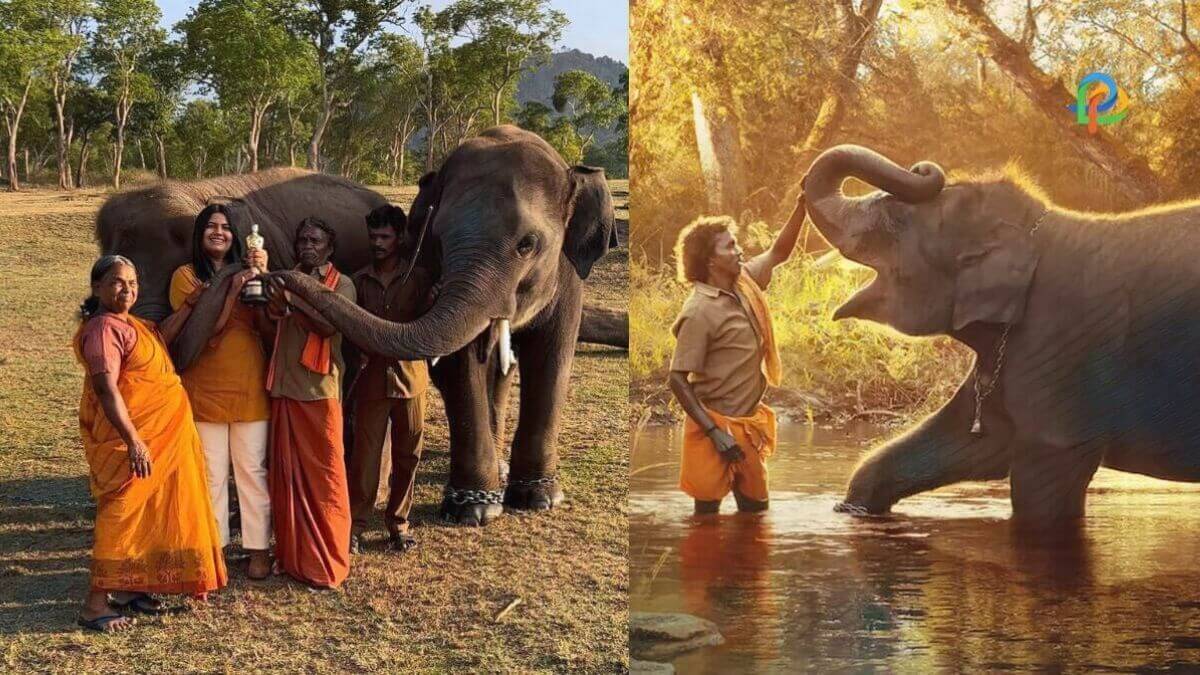 The Elephant Whisperers' Kartiki Gonsalves Posts Photo Of Oscar-winning Documentary's Whole Family After Six Years