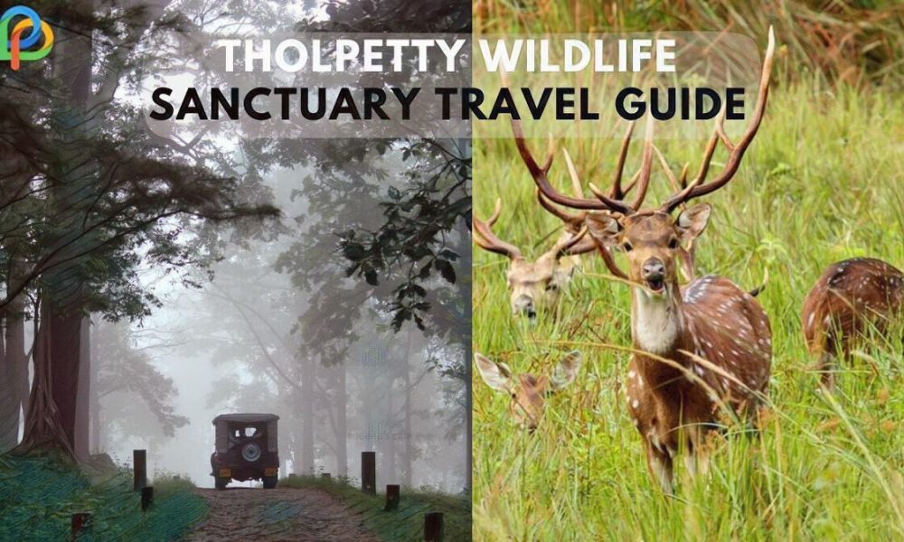 Tholpetty Wildlife Sanctuary An Unique Travel Guide For You!