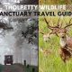 Tholpetty Wildlife Sanctuary An Unique Travel Guide For You!