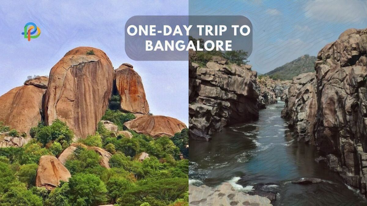 Top Amazing One-Day Trip Spots Near Bangalore!