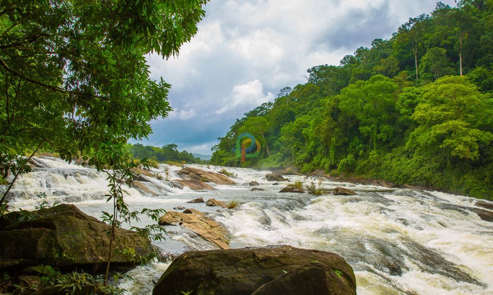 Vazhachal Waterfall