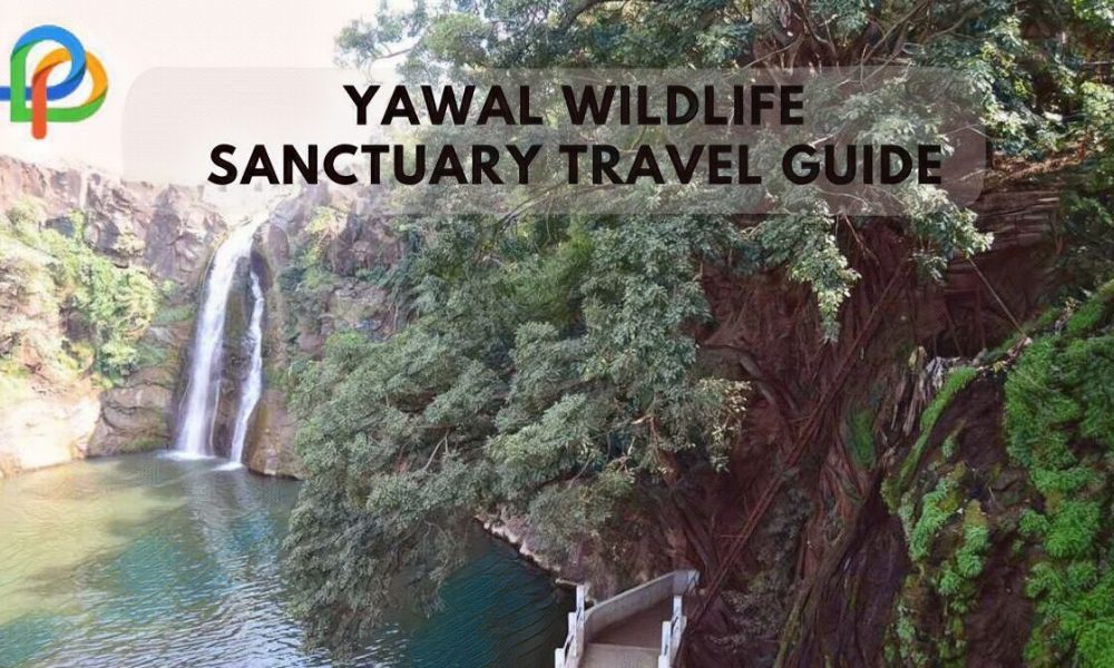 Yawal Wildlife Sanctuary An Ultimate Travel Guide For You!