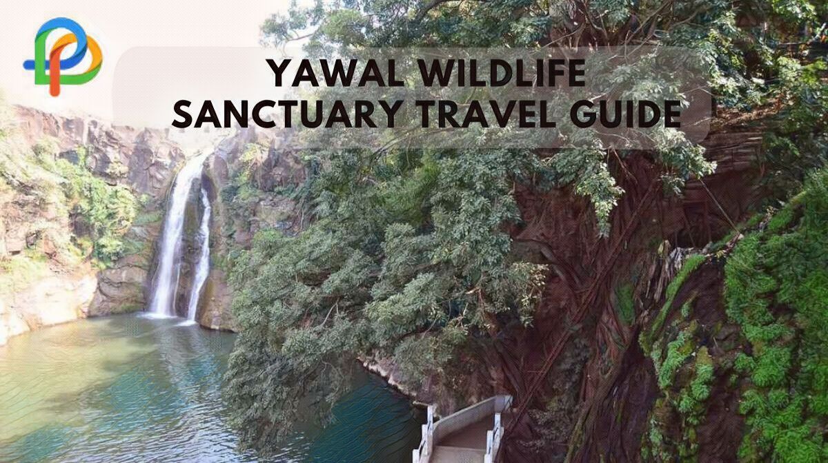 Yawal Wildlife Sanctuary An Ultimate Travel Guide For You!