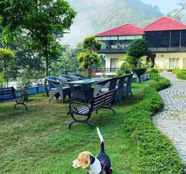 7 Best Pet-friendly Weekend Stays Around Mumbai!