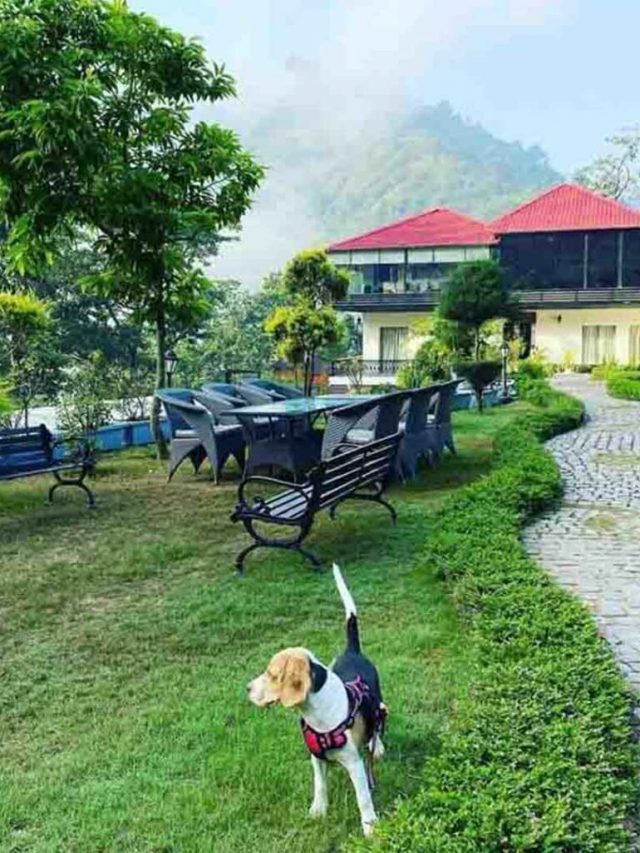 7 Best Petfriendly Weekend Stays Around Mumbai! People Places