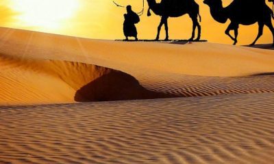 Best Sand Dunes In Rajasthan