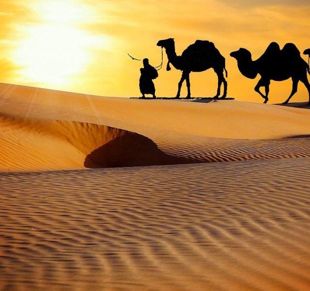 Best Sand Dunes In Rajasthan