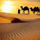 Best Sand Dunes In Rajasthan