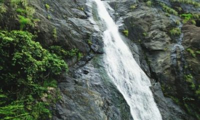 Discover The Waterfalls Near Kochi In 2023!