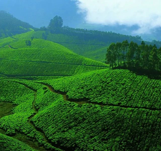 Hill stations in kerala