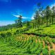 Summer destinations in south India