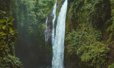 Top Beautiful Waterfalls In West Bengal!