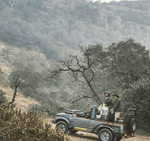 Exploring The Wild: A Journey Through Ranthambore National Park