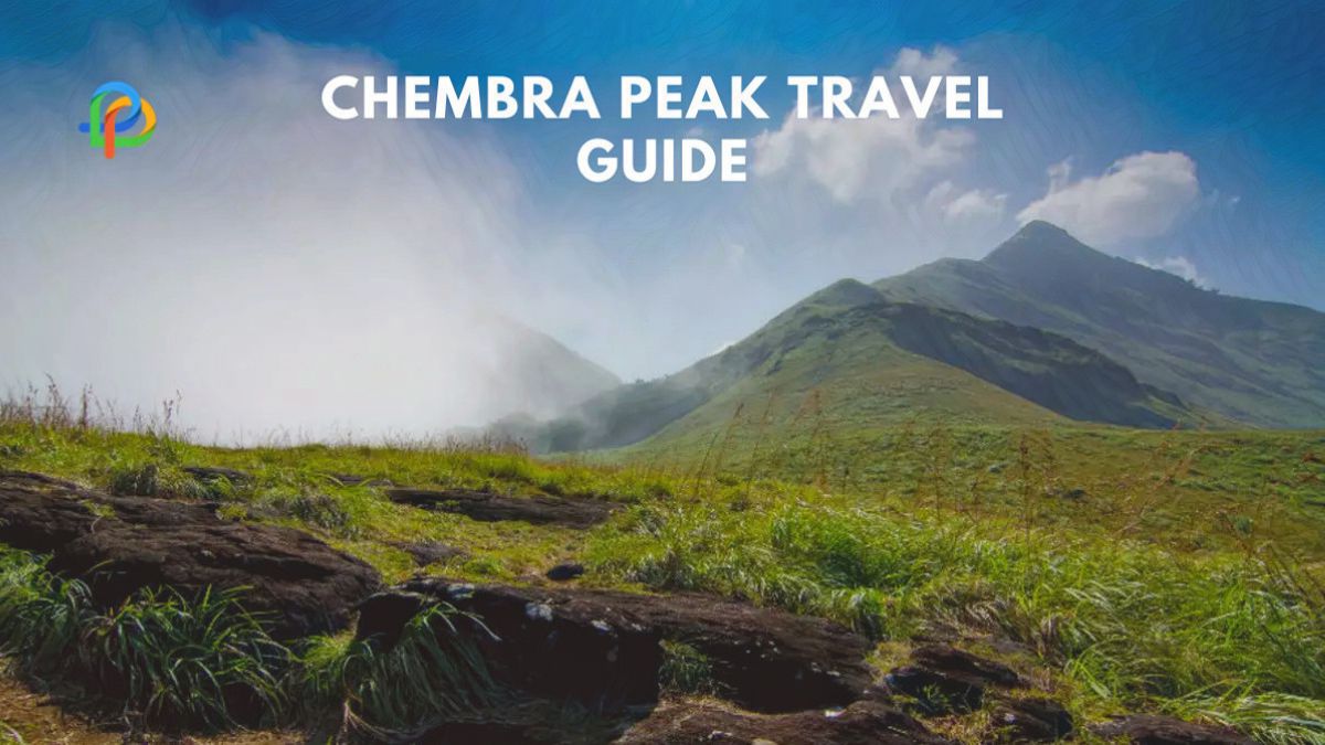Chembra Peak: A Travel Guide To The Highest Peak In Wayanad
