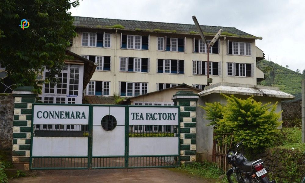 Connemara Tea Factory 