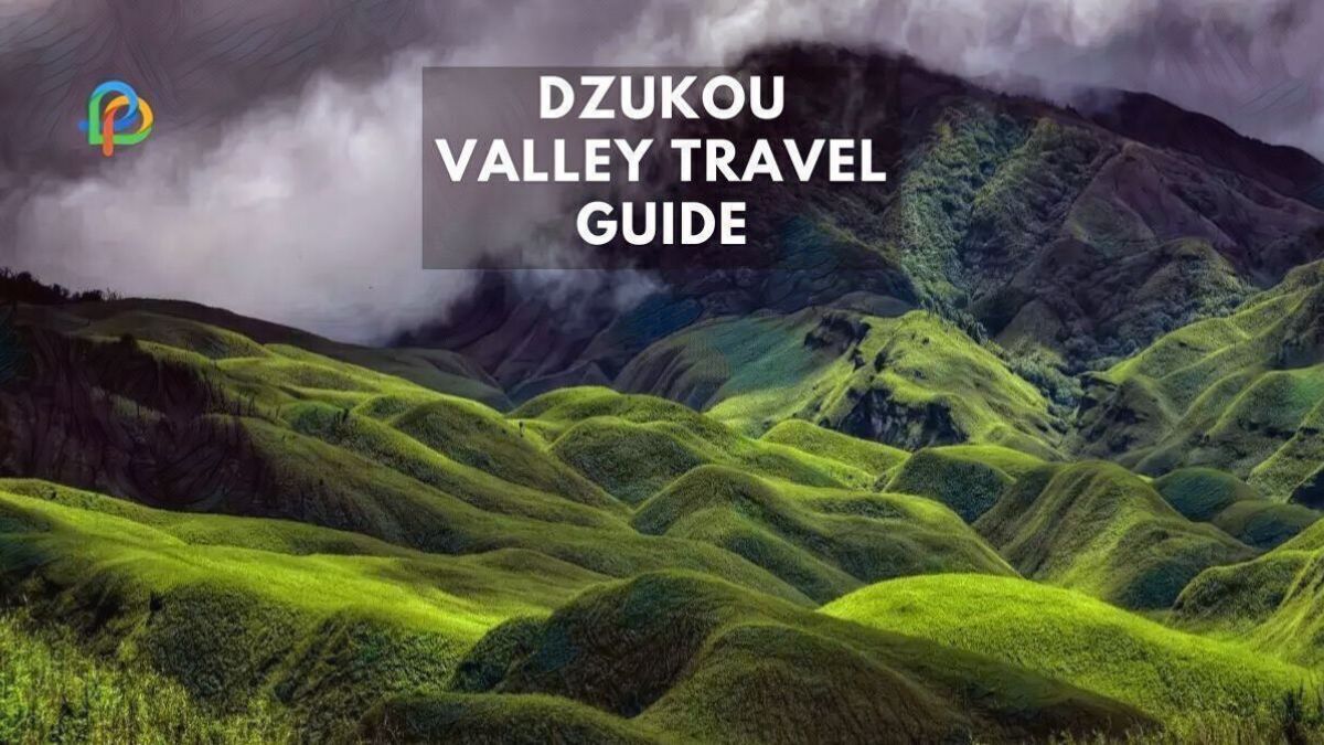 Enjoy Serene Beauty Of Dzukou Valley: A Trekker's Guide!