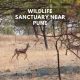 Explore Top Wildlife Sanctuary Near Pune-2023!