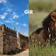 Gir: Visit The Rich Wildlife And Culture Of Gujarat!