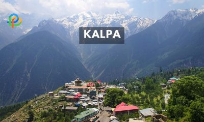Kalpa: Enjoy A Land Of Apples And Snow-Capped Peaks!
