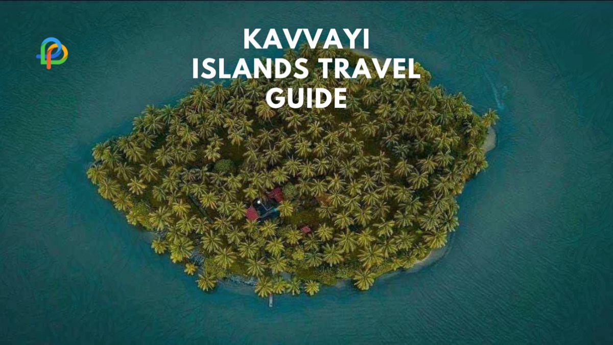 Kavvayi Islands: Explore The Serene Jewel Of Kerala!