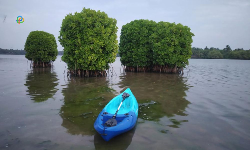 Kayaking 1