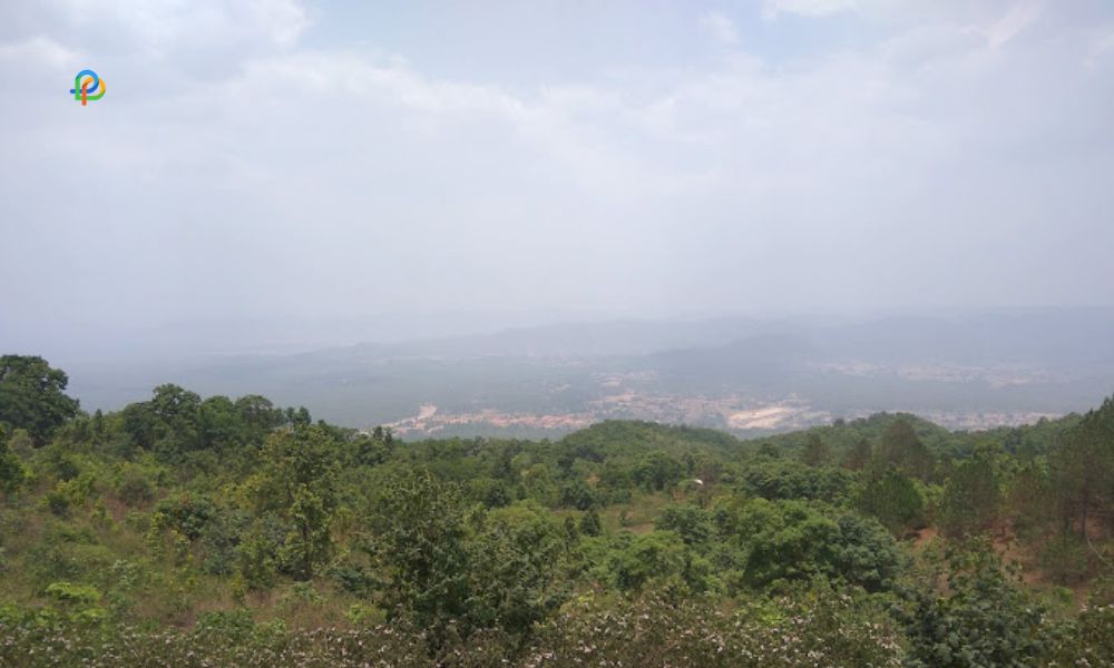 Koel View Point