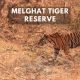 Melghat Tiger Reserve: Must-Visit Place For Wildlife Lovers!
