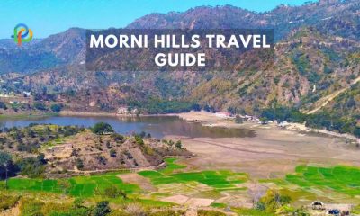 Morni Hills: A Quick Travel Guide To Haryana's Scenic Spot!
