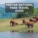 Periyar National Park: A Travel Guide For Wildlife Lovers!