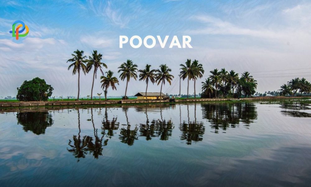 Poovar: Explore A Serene Coastal Village in Kerala!