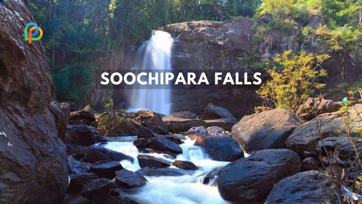 Soochipara Falls: A Guide To Kerala's Amazing Waterfall!