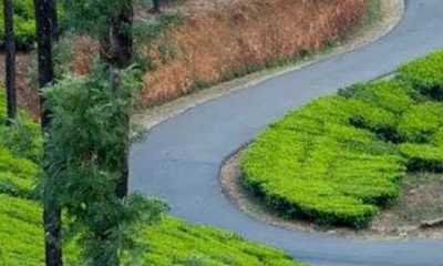 Best road trips in kerala