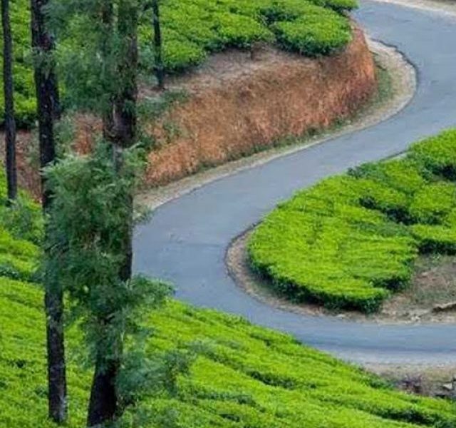 Best road trips in kerala