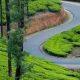 Best road trips in kerala