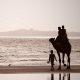 Gujarat's Best Beaches