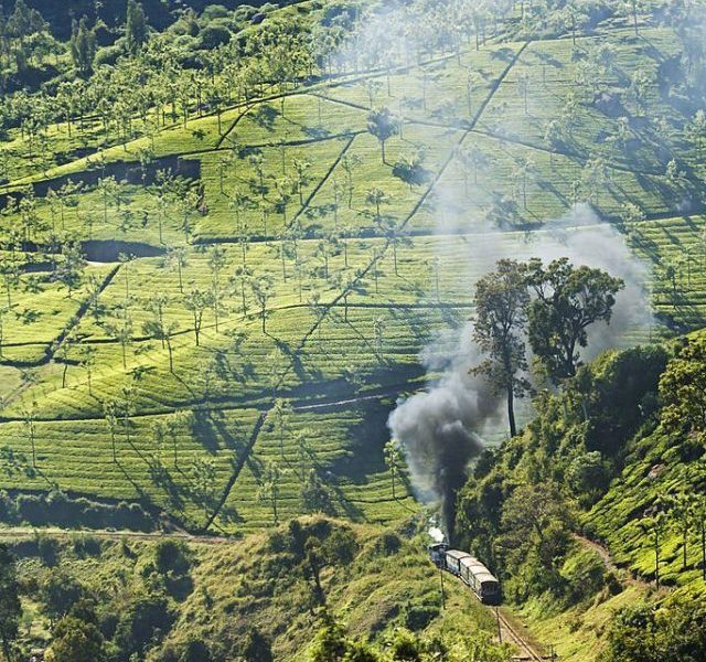 Hill stations near ooty