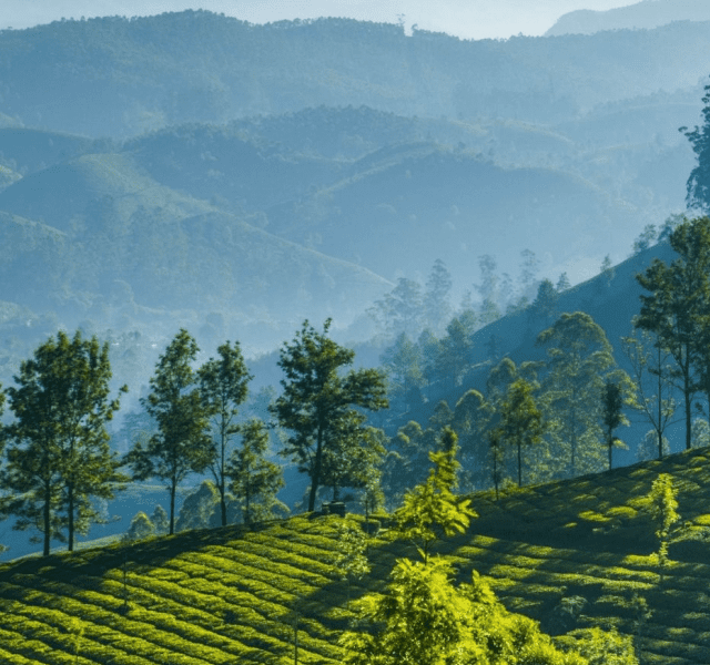 The Best South Indian Attractions For The Month Of June