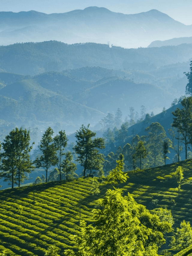 south indian places to visit in june