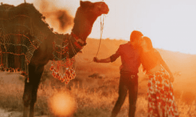 Rajasthan's Top 10 Honeymoon Destinations for 2023