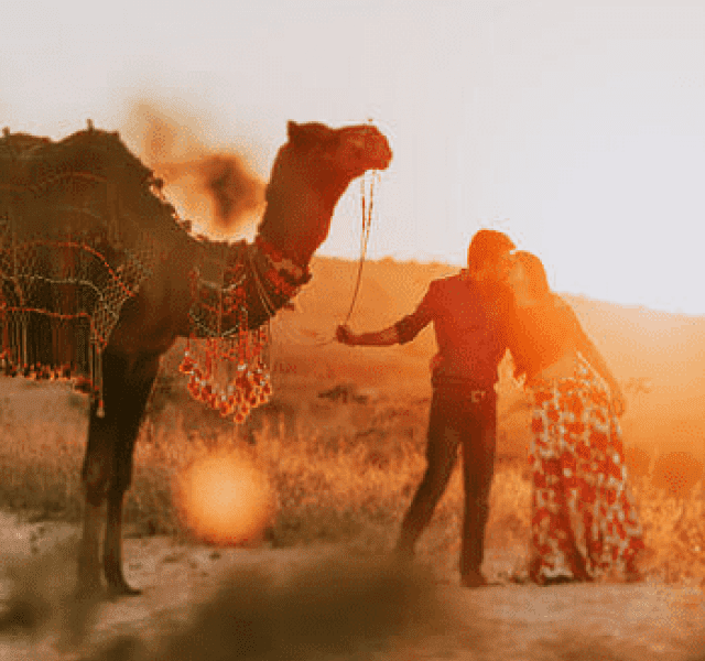 Rajasthan's Top 10 Honeymoon Destinations for 2023