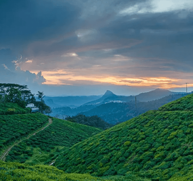 Summer Trip: Top 10 Offbeat Hill Stations In India!