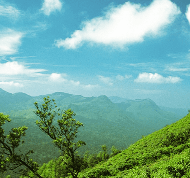 Top 10 Hill Stations To Visit Near Mysore 2023!